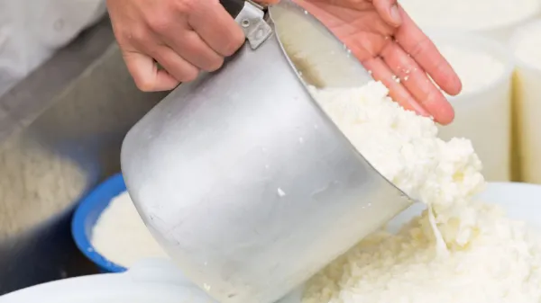 Faire son fromage maison : par où commencer?